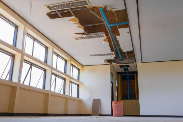 Best Sewage cleanup and water damage restoration  in Keshore, LA