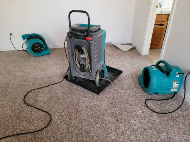 Reliable Lakeshore, LA Water damage restoration Solutions