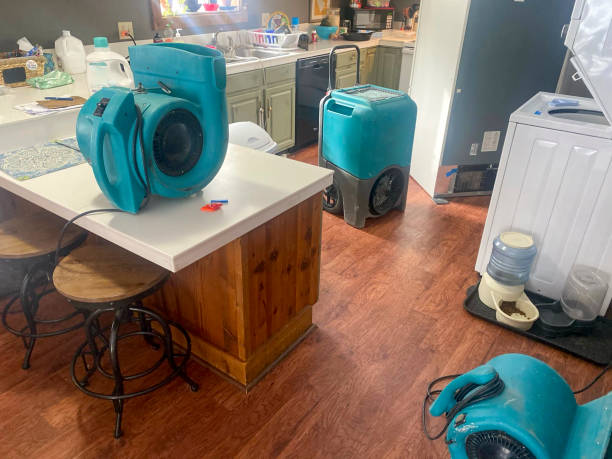 Best Ceiling water damage repair  in Keshore, LA