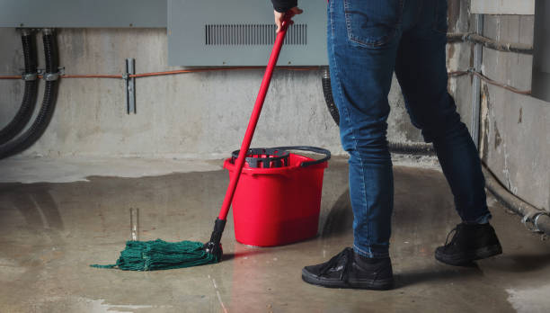 Best Water damage restoration near me  in Keshore, LA